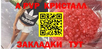 индика Кандалакша