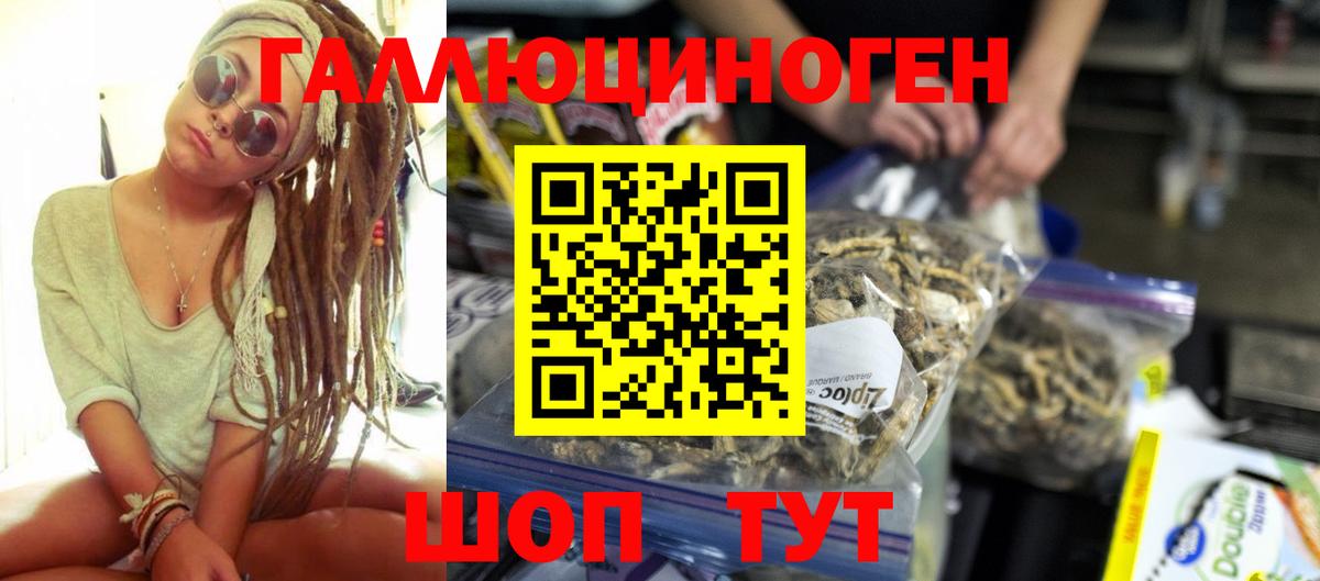 Курчатов  Галлюциногенные грибы Psilocybe  Вход с VPN 